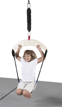 Active Play Swings, Item Number 017046