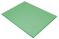 Tru-Ray Sulphite Construction Paper, 18 x 24 Inches, Festive Green, 50 Sheets 054924