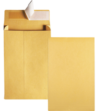 Catalog Envelopes and Booklet Envelopes, Item Number 1066624