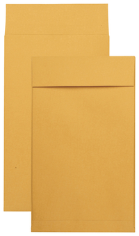 Catalog Envelopes and Booklet Envelopes, Item Number 1066626
