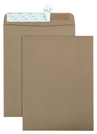 Catalog Envelopes and Booklet Envelopes, Item Number 1333277