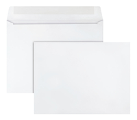 Catalog Envelopes and Booklet Envelopes, Item Number 1369016