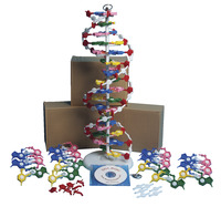 Frey Scientific DNA Model Set with Instructional CD, Set of 4, Item Number 1488767