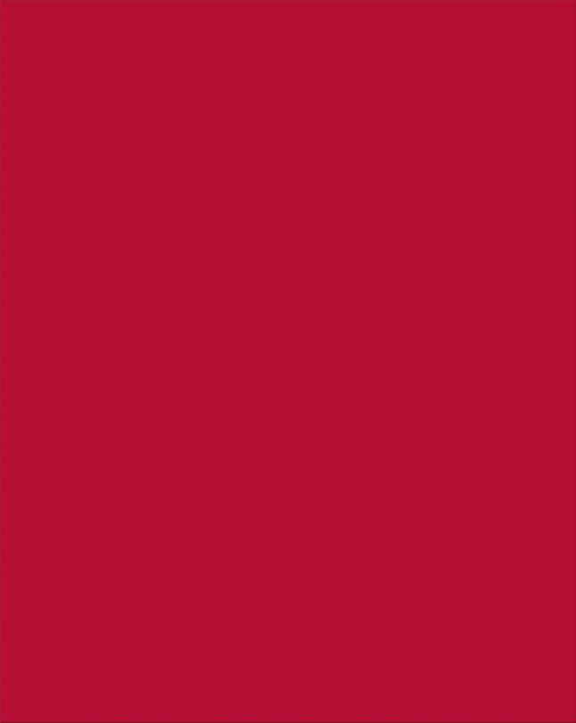 Pacon Plastic Poster Board, 22 x 28 Inches, Red, Pack of 25