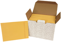 School Smart No Clasp Envelopes with Gummed Flap, 9 x 12 Inches, Kraft Brown, Pack of 250 2013918
