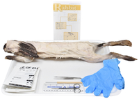 Frey Choice Dissection Kit - Rabbit (DBL) with Dissection Tools 2041261