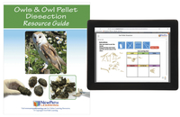NewPath Learning Owls and Owl Pellet Dissection Resource Guide with Multimedia Lesson, Item Number 2106971