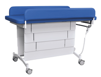 Flaghouse Mobile Pediatric Changing Table 2120069