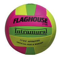 FlagHouse Intramural Outdoor Volleyball 2120512