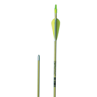 FlagHouse Fiberglass Archery Target Arrow for School & Recreation, 28 Inches 2120785