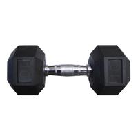 Hex Rubber Dumbbell, 10 Pounds 2121230
