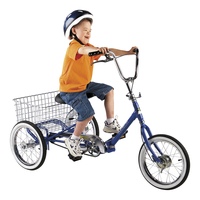 Developmental Youth Trike, Freewheeling 2124792