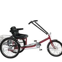 Single Rider Trike, Full Support Seat, Electrical, 1 Speed 2124842