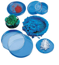 Petri Dishes, Item Number 160-4613