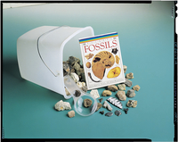 Delta Education Hands-On Exploration: Fossils 750-5035