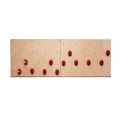 Image for Everlast Climbing Peg Board, 2 x 8 Feet from School Specialty