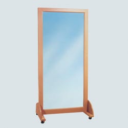 Image for Clinton Industries Vertical Mobile Mirror, 72 x 26-1/2 Inches from School Specialty