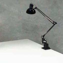 Image for Frey Scientific Desk Lamp from School Specialty