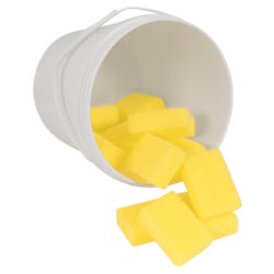 Bucket and Sponge Assortment, 2 x 3 x 1 Inches Item Number 085851