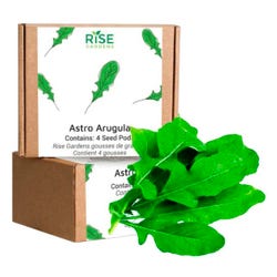 Image for Rise Gardens Wild Rocket Arugula, 4 Pack from School Specialty