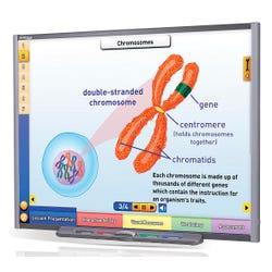 Image for NewPath Learning IWB Multimedia Lesson - Chromosomes, Genes and DNA Site License CD from School Specialty