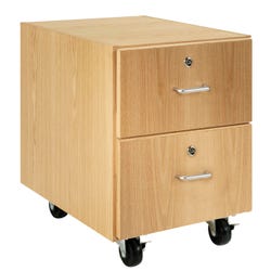 Image for Diversified Woodcrafts M Series Mobile Storage Cabinet, Hinged Left Door, 1 Drawer, 24 x 22 x 30 Inches from School Specialty