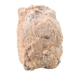 Image for Scott Resources Conglomerate Quartz Pebbles, Hand Sample from School Specialty