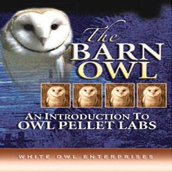 Frey Scientific the Barn Owl an Introduction to Owl Pellet Labs DVD, 15 min, Item Number 1300594