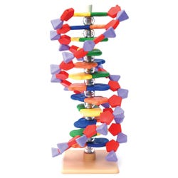 Image for Molymod 12-Layer Mini DNA, 24 H Centimeters from School Specialty