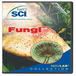 Image for NeoSCI Fungi Neo/LAB Software Network License CD-ROM from School Specialty