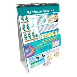Image for NewPath Learning Genetics and Heredity Double Sided Laminated Learning Flip Chart, 12 L x 18 W in from School Specialty