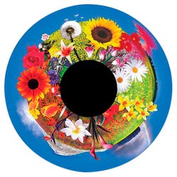 Image for Solar Effect Wheel, Flowers from School Specialty