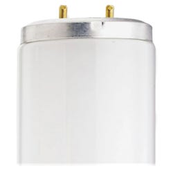Image for Satco Fluorescent Tube Light Bulb, 40W, 2150L, 48 Inches, Pack of 30, WE from School Specialty