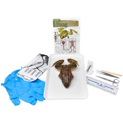 Image for Frey Choice Dissection Kit - Basic Frog (plain) with Dissection Tools from School Specialty