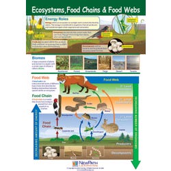 Image for NewPath Learning Ecosystems, Food Chains, and Food Webs Laminated Poster - 23 x 35 from School Specialty