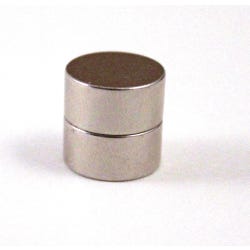 Image for Frey Scientific Neodymium Magnet Pair, 14 mm OD X 6 mm T, Set of 2 from School Specialty