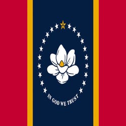 Image for Annin Nylon Mississippi Indoor State Flag, 3 X 5 ft from School Specialty