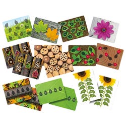 Image for Yellow Door Ladybug Counting Cards, Set of 15 from School Specialty
