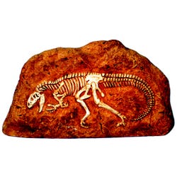 Image for Skullduggery Allosaurus in Rock Fossil Replica from School Specialty