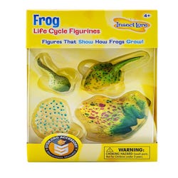 Image for Insect Lore Life Cycle Stages, Frog, Set of 4 from School Specialty