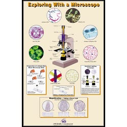 Image for NeoSCI Exploring with a Microscope Laminated Poster, 23 in W X 35 in H from School Specialty