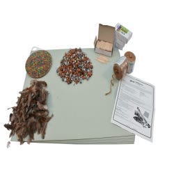 Image for Rainstick Kit for 25 Students from School Specialty