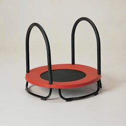 Image for Gonge Baby Trampoline with Support Handle, 28 x 5 Inches, Grade Pre-K from School Specialty
