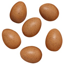 Image for Yellow Door Sensory Sound Eggs, 2-1/2 x 3-1/4 Inches, Set of 6 from School Specialty