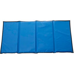 Image for Childcraft Deluxe Foldable Rest Mat, 48 x 24 x 2 Inches, Vinyl, Red/Blue from School Specialty