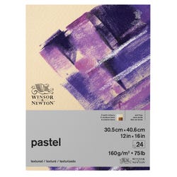 Winsor & Newton Pastel Paper Pad, 12 x 16 Inches, Item Number 2088916