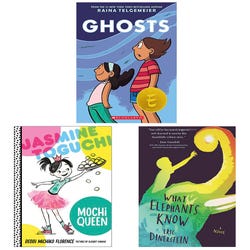 Image for Achieve It! Notable Diverse Literature Read Aloud Books, Grade 3, Set of 20 from School Specialty