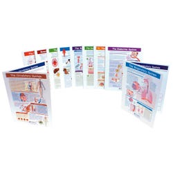 Image for NewPath Learning Human Body Visual Learning Guide with CD, Grades 6 - 10, 17 in L X 11 in W from School Specialty