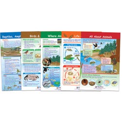 Image for NewPath Learning Bulletin Board Set of 5 - All About Animals, Grades 1-2 from School Specialty