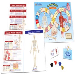 NewPath Bones, Muscles and Skin Learning Center, Grades 6 to 8 1567087